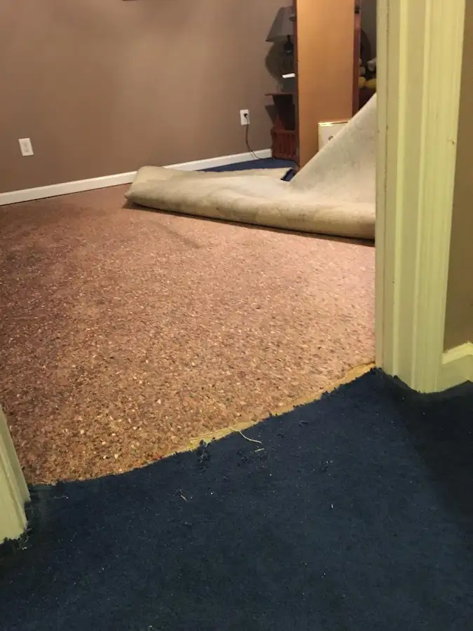 Carpet pad removal revealing water damage during Drying & Dehumidification in Oak Brook